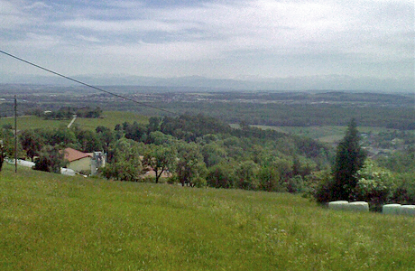 Frankenberg Frankenberg